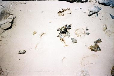 Die Strände auf Cayo Coco,_UW 06_24_B720